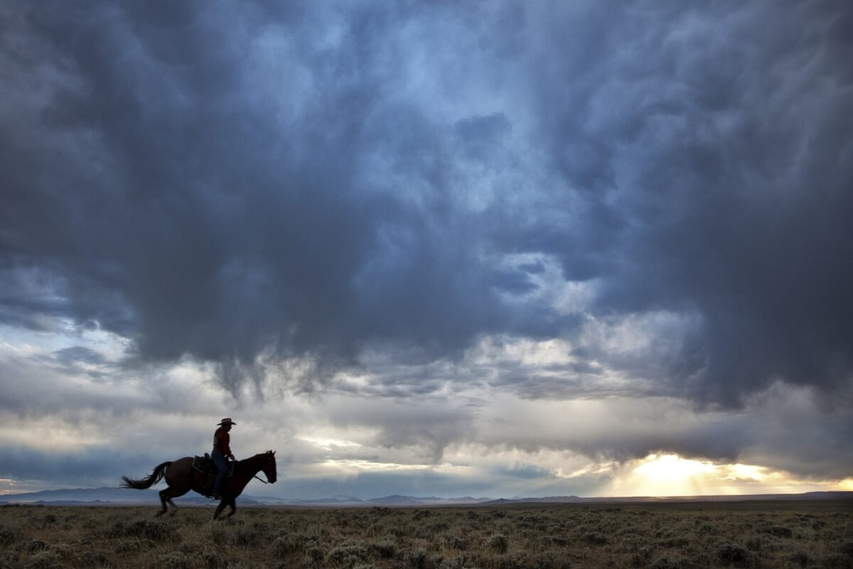 The Cowboy’s Coming